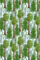 Image Not Available